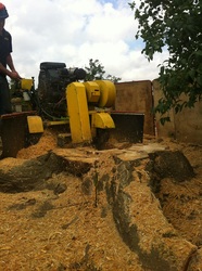 stump grinding Old Catton