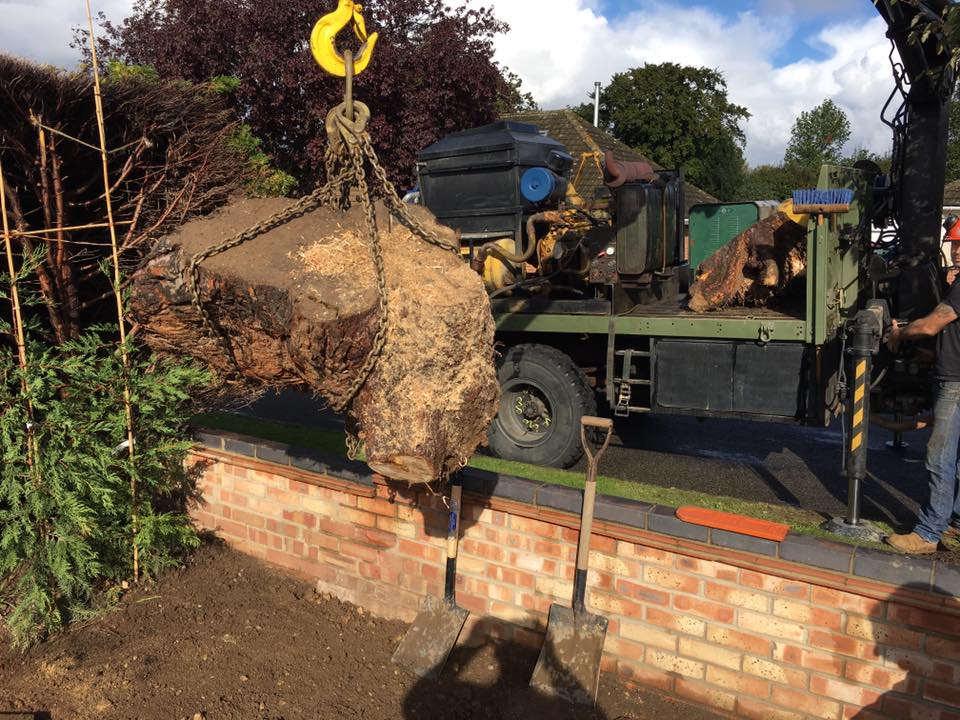 using the HIAB to lift tree stumps out in Norwich
