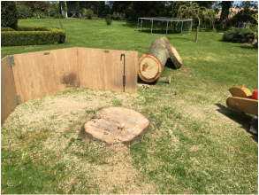 tree stump grinding in dereham